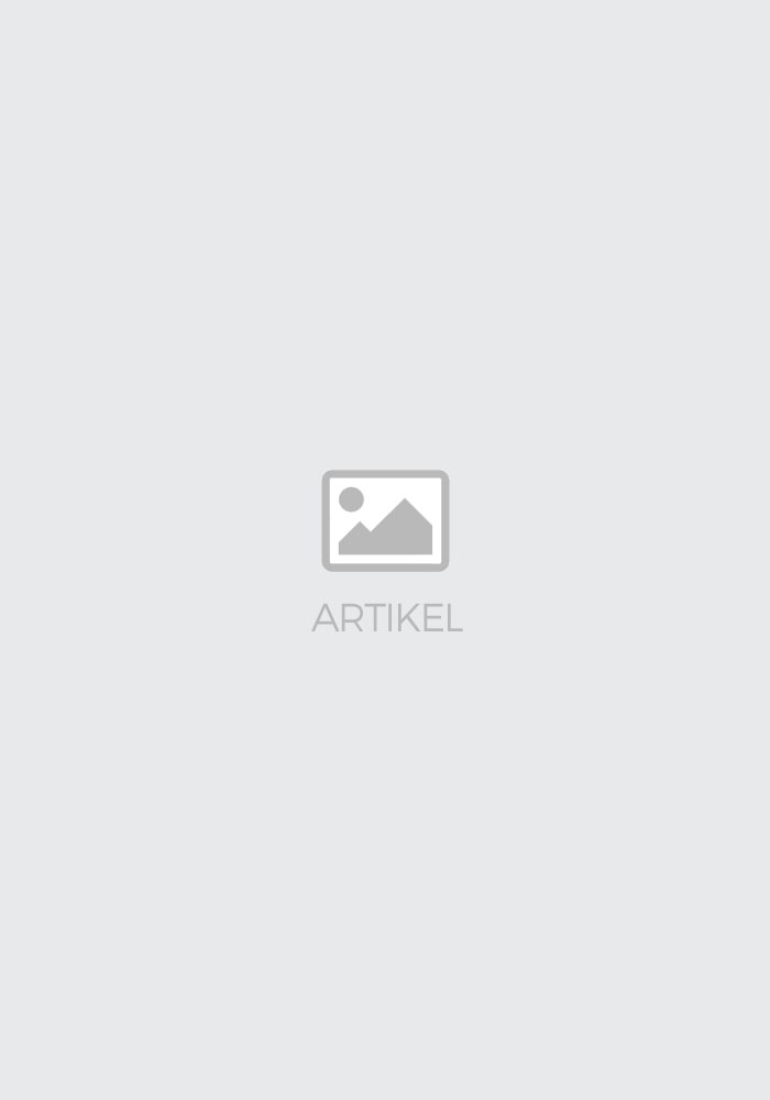SHURflo Druckluftmembranpumpe 477-400-01